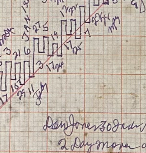 2022- 12 Days of W.D. Gann Christmas Charts - set #3